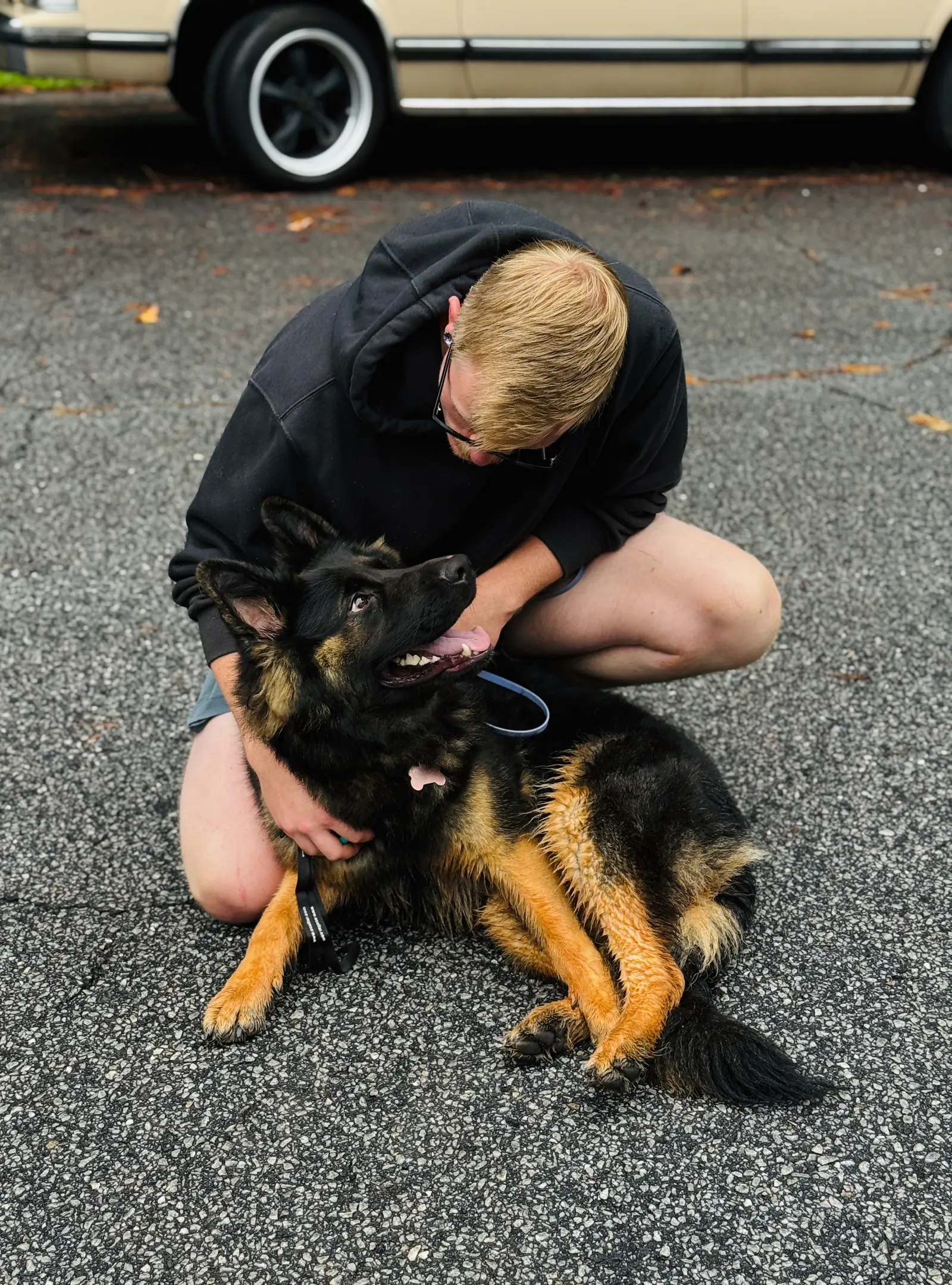 Pet transportation and local pet care support 2